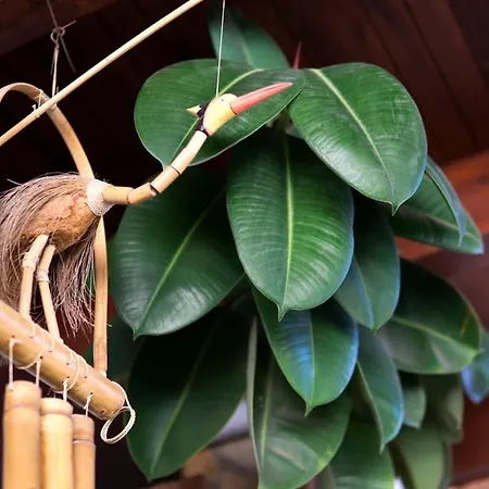 Mcgomez House Lejlighed Málaga