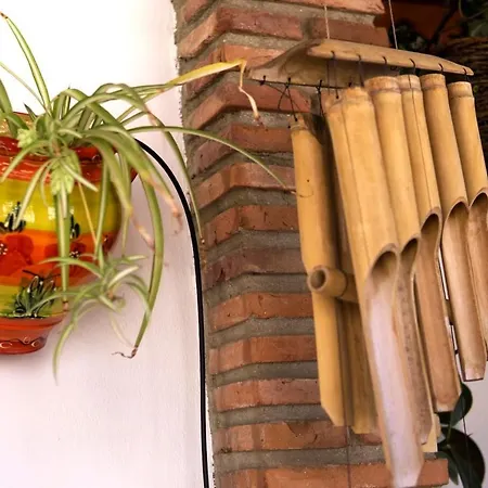 Mcgomez House Malaga